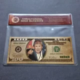 Colourised 100 USD DONALD TRUMP 24k go..