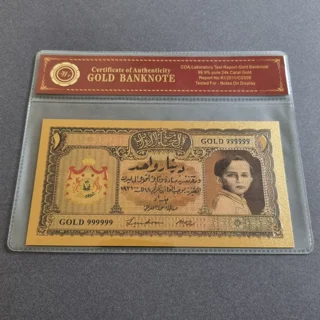 Colourised IRAQ 1 Dinar..