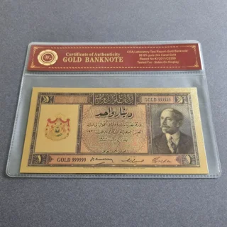Colourised IRAQ 1 Dinar..