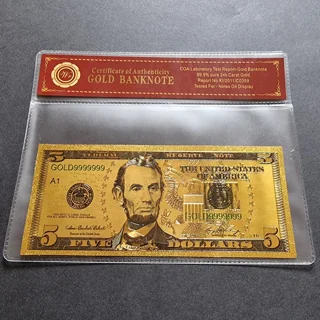 Colourised USA 5 Dollar..