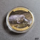 AUSTRALIA Rare Wild Animals - PLATYPUS..