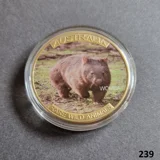 AUSTRALIA Rare Wild Animals - WOMBAT g..