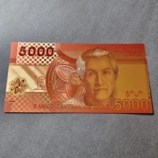 Colourised CHILE 5000 P..