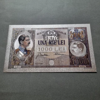 Colourised ROMANIA 1000..