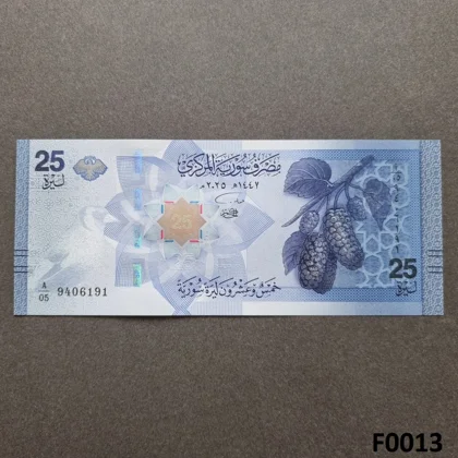 SYRIA 25 Pounds 2025 UNC (F0013)