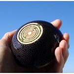 «Υγρό Πυρ» - Παντοδύναμο θεραπευτικό ημισφαίριο μαύρης τουρμαλίνης με 2 MWOs