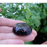 «Υγρό Πυρ» - ισχυρός παιδικός (mini) οργονίτης μαύρης τουρμαλίνης