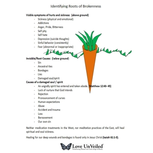 Roots of Healing 2 Sided Lam..