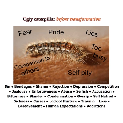 Caterpillar/Butterfly 2 Sided Laminated Card Large