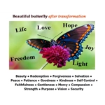 Caterpillar/Butterfly 2 Sided Laminated Card Large