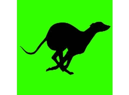 Greyhound Rater v1.0.5