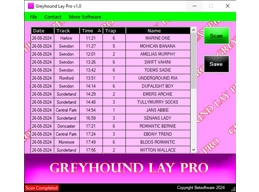 Greyhound Lay Pro
