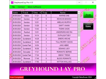 Greyhound Lay Pro