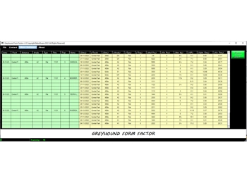 *** NEW *** Greyhound Form Factor