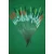 'Match Range' CLEARANCE x 25 Pole Floats (SRG004)