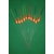 'MATCH RANGE' CLEARANCE x 10 Pole Floats (SRG031) 'MATCH RANGE' CLEARANCE x 10 Pole Floats (SRG031)