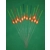 'MATCH RANGE' CLEARANCE x 12 Pole Floats (SRG031) 'MATCH RANGE' CLEARANCE x 12 Pole Floats (SRG031)