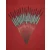 'MATCH RANGE' CLEARANCE x 18 Pole Floats (SRG009)