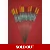 'MATCH RANGE' CLEARANCE x 15 Pole Floats (SRG009)