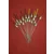 'MATCH RANGE' CLEARANCE x 19 Pole Floats (SRG007)