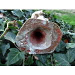 French Vintage Painted statuette of Jesus Religious statue