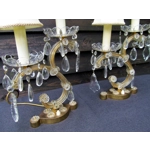 Rare Lavish pair of Louis XIV French vintage table lamps