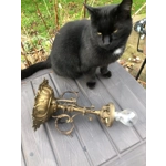 Napoleon III  epoque era Brass and Bronze  plafonnier ceiling light early 20th century patinated wit
