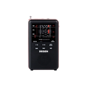Degen DE36 radio