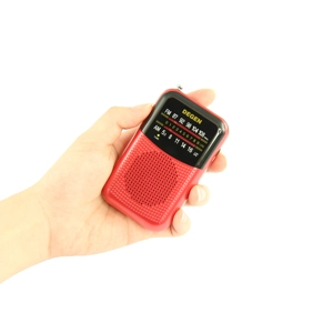Degen DE797 radio