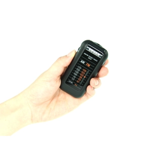 Degen DE337 radio