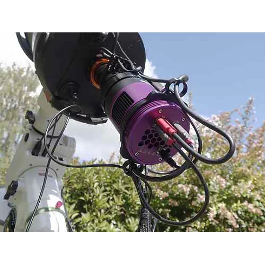 WOMPR™ INDY HOOP™ Camera Cable Management (double)