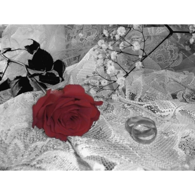 Murder Not Marriage Murder Mystery Game