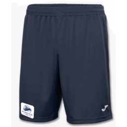 Hoddesdon SC Joma Nobel shorts.