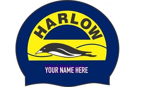 Harlow Penguins Named hats
