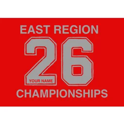 BSSC REGIONAL T shirt
