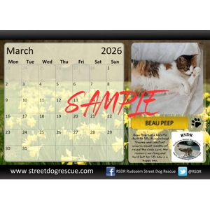 RSDR Calendar 2026
