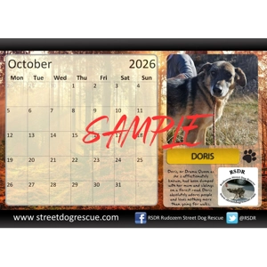 RSDR Calendar 2026