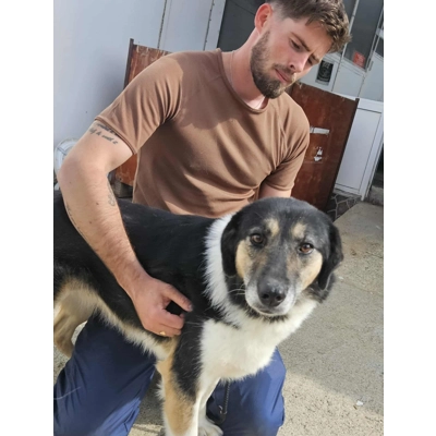 Coco - Annual booster vaccination 2025