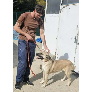 Keira - Annual booster vaccination 2025