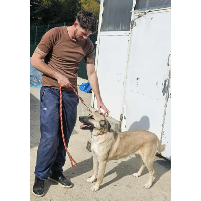 Keira - Annual booster vaccination 2025