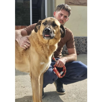 Louis - Annual booster vaccination 2025