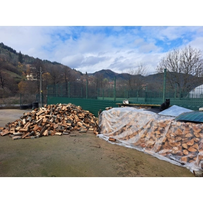 Buy A Log To Heat The Dogs