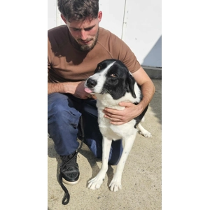 Zailey - Annual booster vaccination 2025