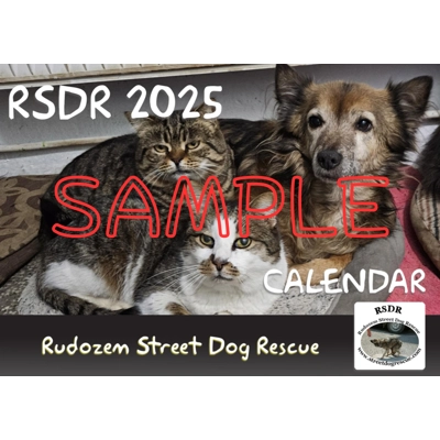 RSDR Calendar 2025
