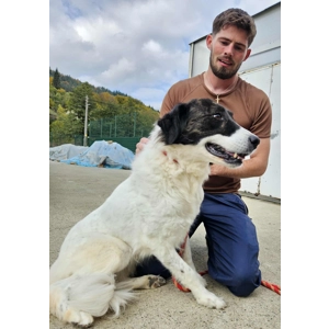 Zailey - Annual booster vaccination 2025