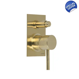 X11 - Concealed Manual BSM - PVD Brushed Brass