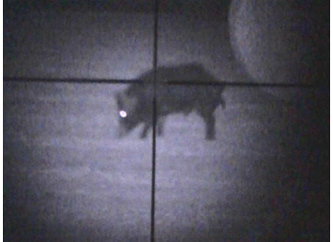 Night Vision With Digital Crosshairs
