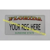 USA Pressed Number Plate With Medium Size Digit