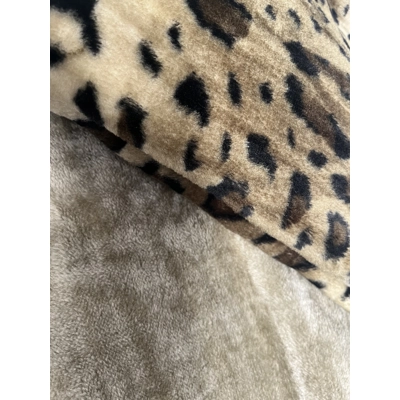 Large Lynx and caramel Large Lynx and caramel