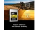 Lexar 256GB Professional CF Express Type A (Gold)
